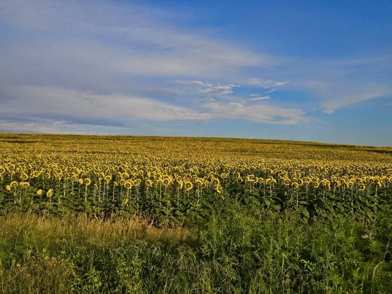 0 Bedroom Property for Sale in Bethlehem Rural Free State